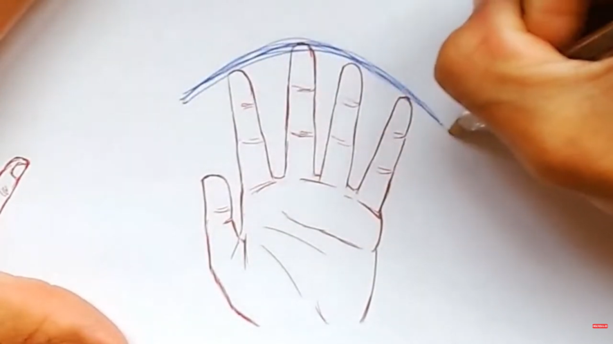 Desenhar mão de anime: arco dos dedos